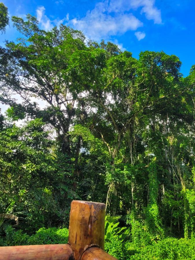 News * Paraty